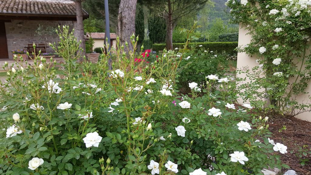 Agriturismo I Terzieri Ferentillo Exterior photo